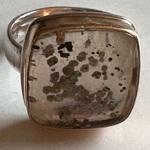 Jamie Joseph fools gold ring.